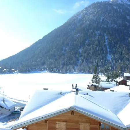 Apartment Parc B428 By Interhome Champex-Lac